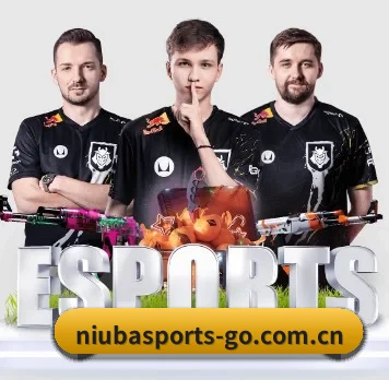 牛八体育登录 APP 界面（NIUBASPORTS）