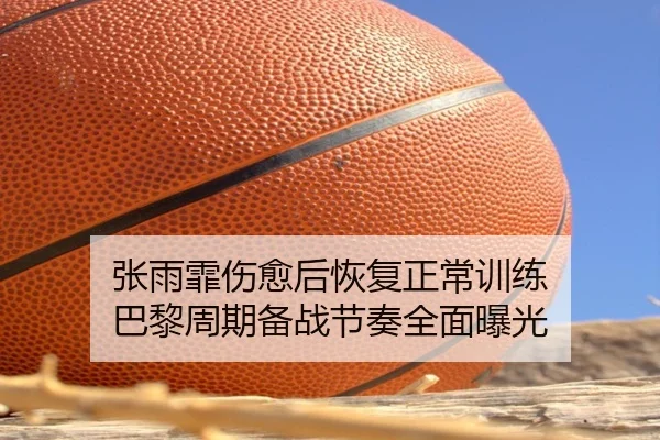 张雨霏伤愈后恢复正常训练 巴黎周期备战节奏全面曝光（NIUBASPORTS）
